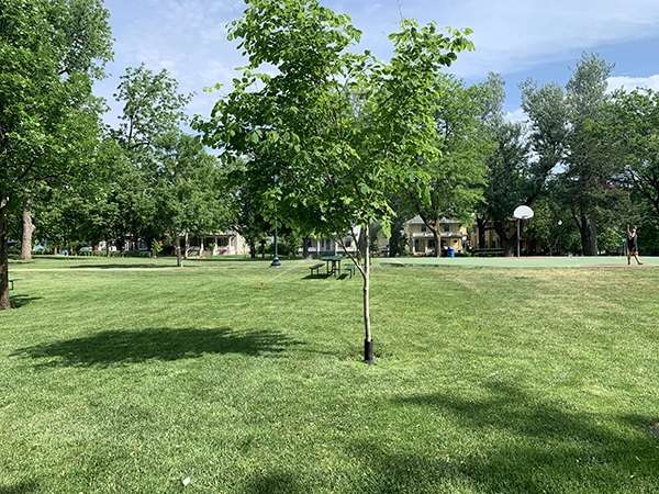 Tree Planting Promotion to Celebrate Sioux Falls School District’s 150th Anniversary